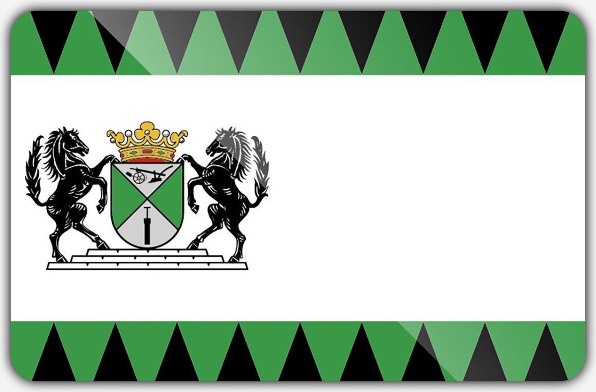 Vlag gemeente Emmen - 150 x 225 cm - Polyester