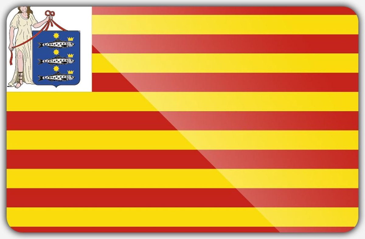 Vlag gemeente Enkhuizen - 150 x 225 cm - Polyester