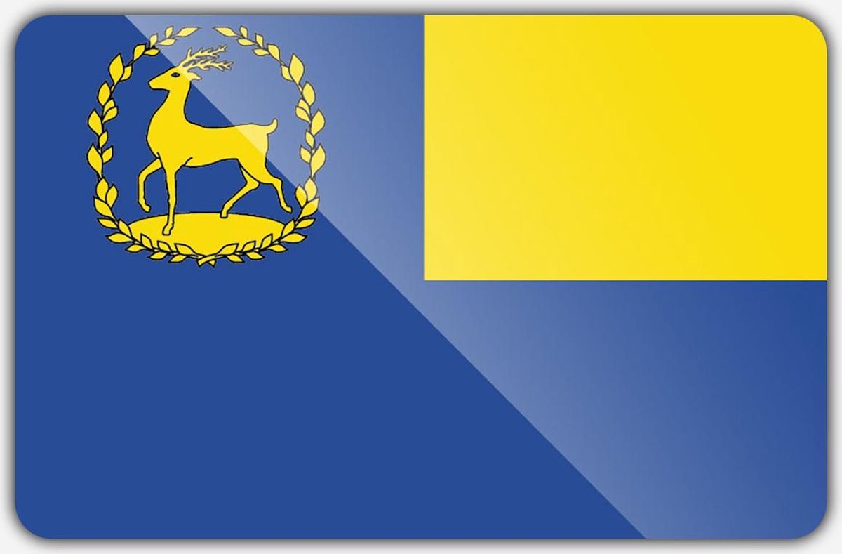 Vlag gemeente Epe - 70 x 100 cm - Polyester