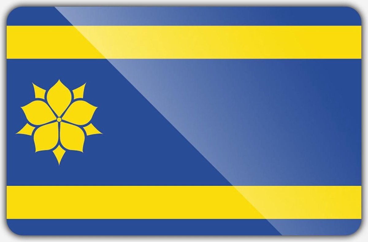 Vlag gemeente Hattem - 100 x 150 cm - Polyester