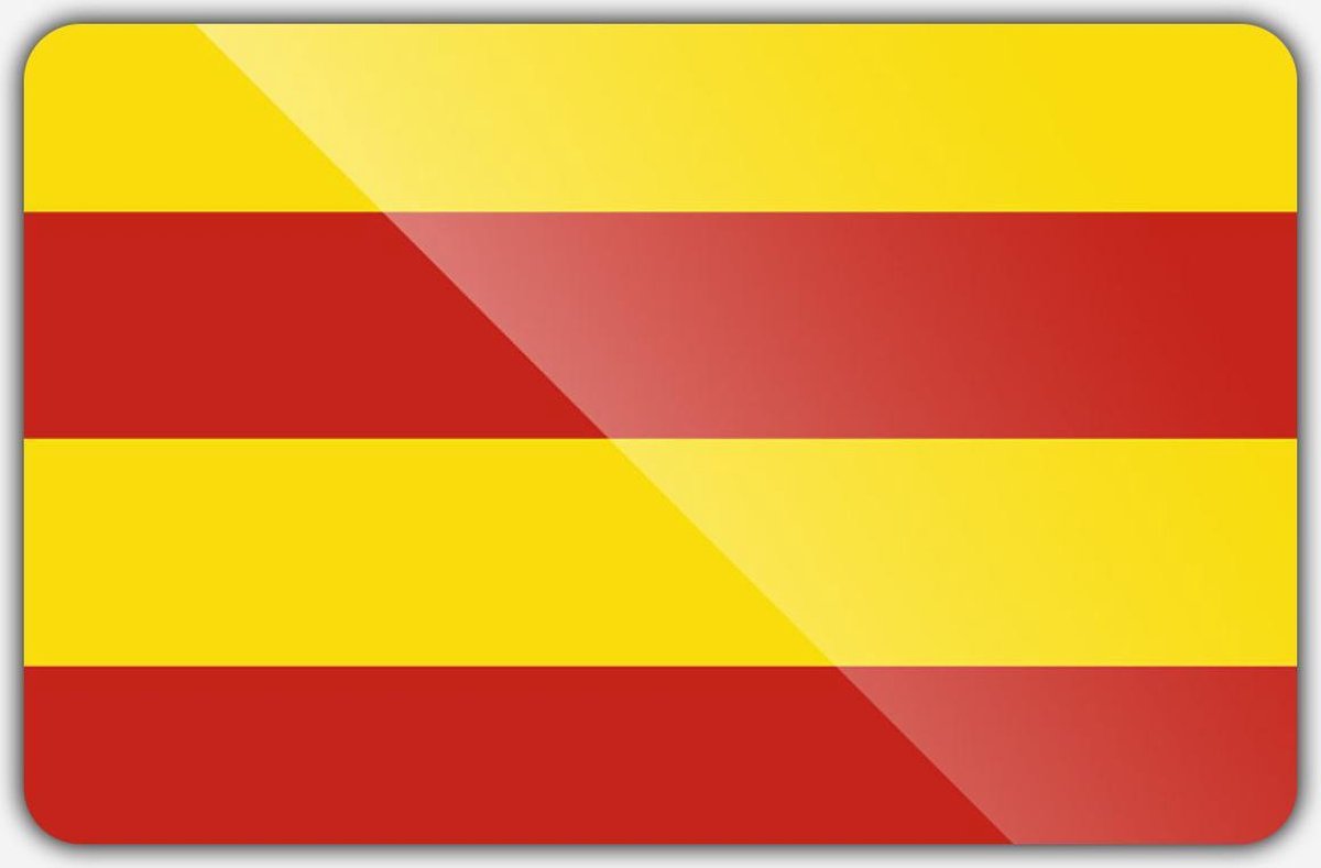 Vlag gemeente Heemstede - 100 x 150 cm - Polyester