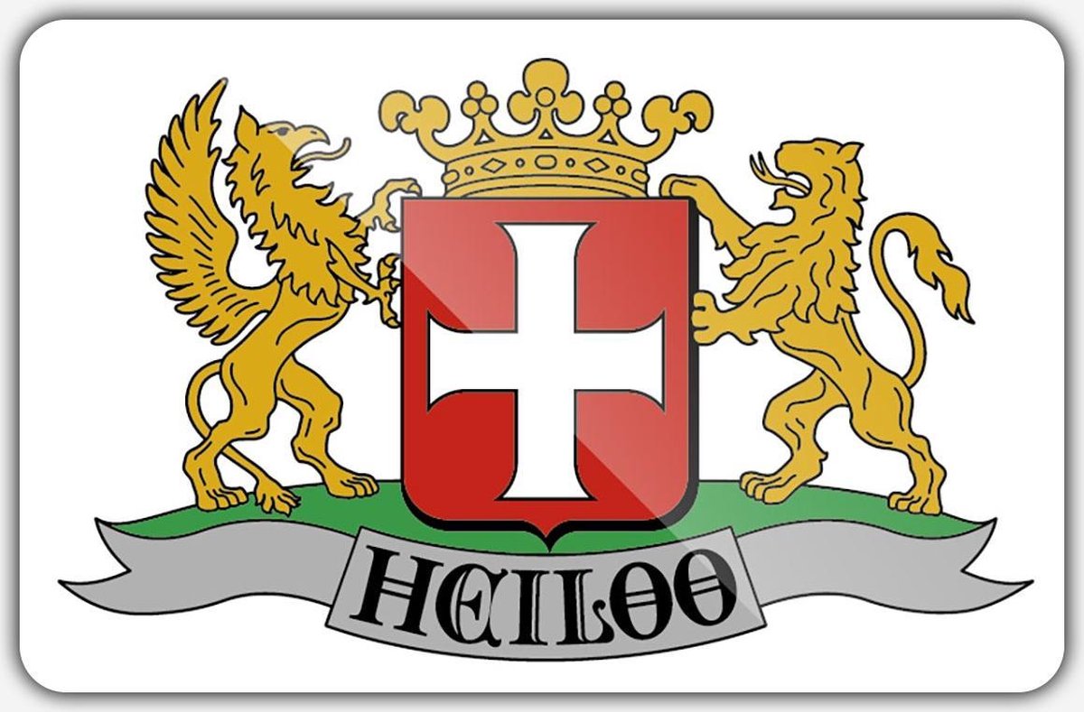 Vlag gemeente Heiloo - 100 x 150 cm - Polyester