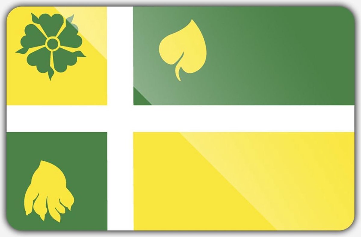 Vlag gemeente Hof van Twente - 150 x 225 cm - Polyester