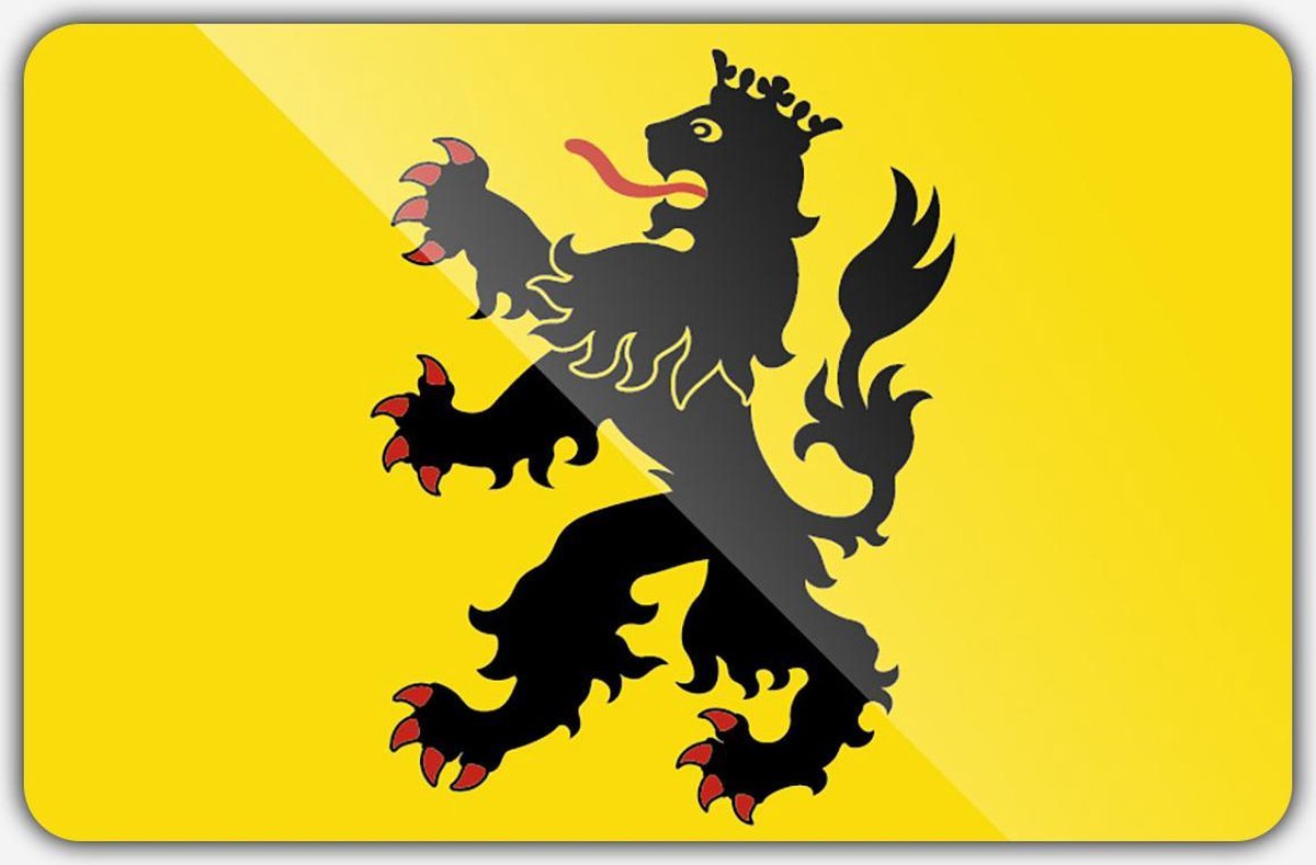 Vlag gemeente Hulst - 150 x 225 cm - Polyester