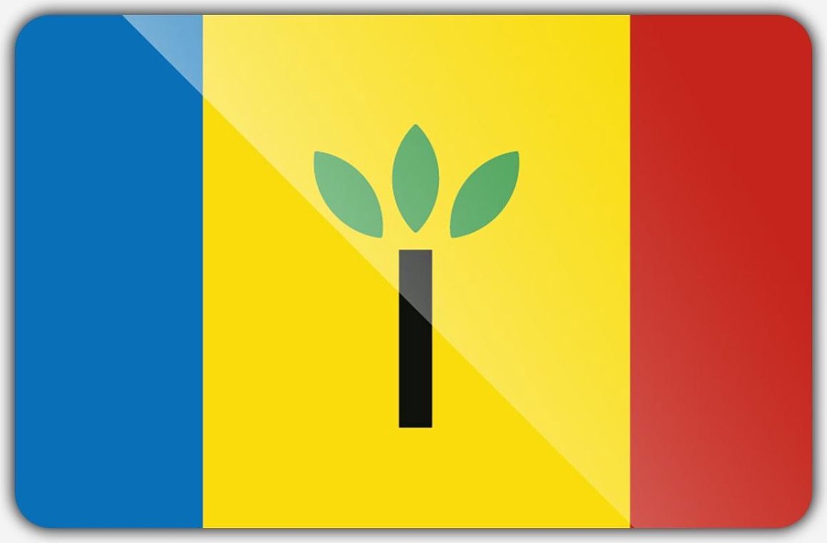 Vlag gemeente Landgraaf - 100 x 150 cm - Polyester