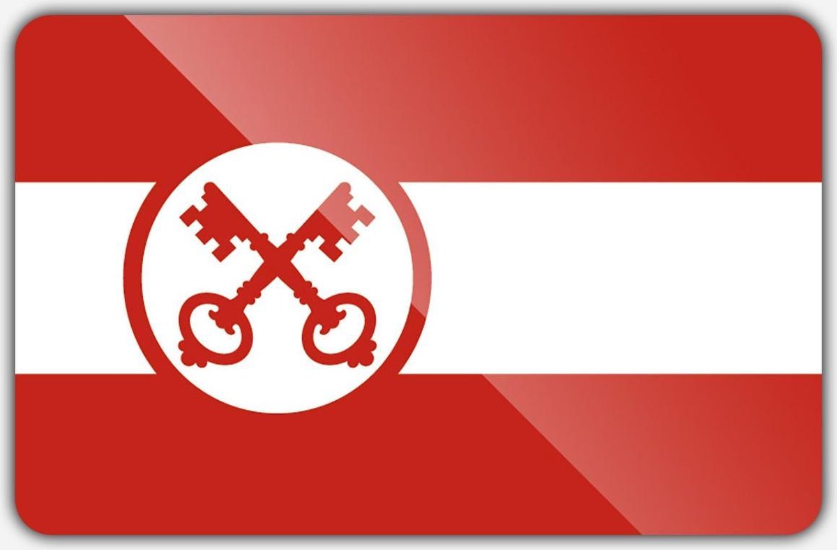 Vlag gemeente Leiden - 70 x 100 cm - Polyester