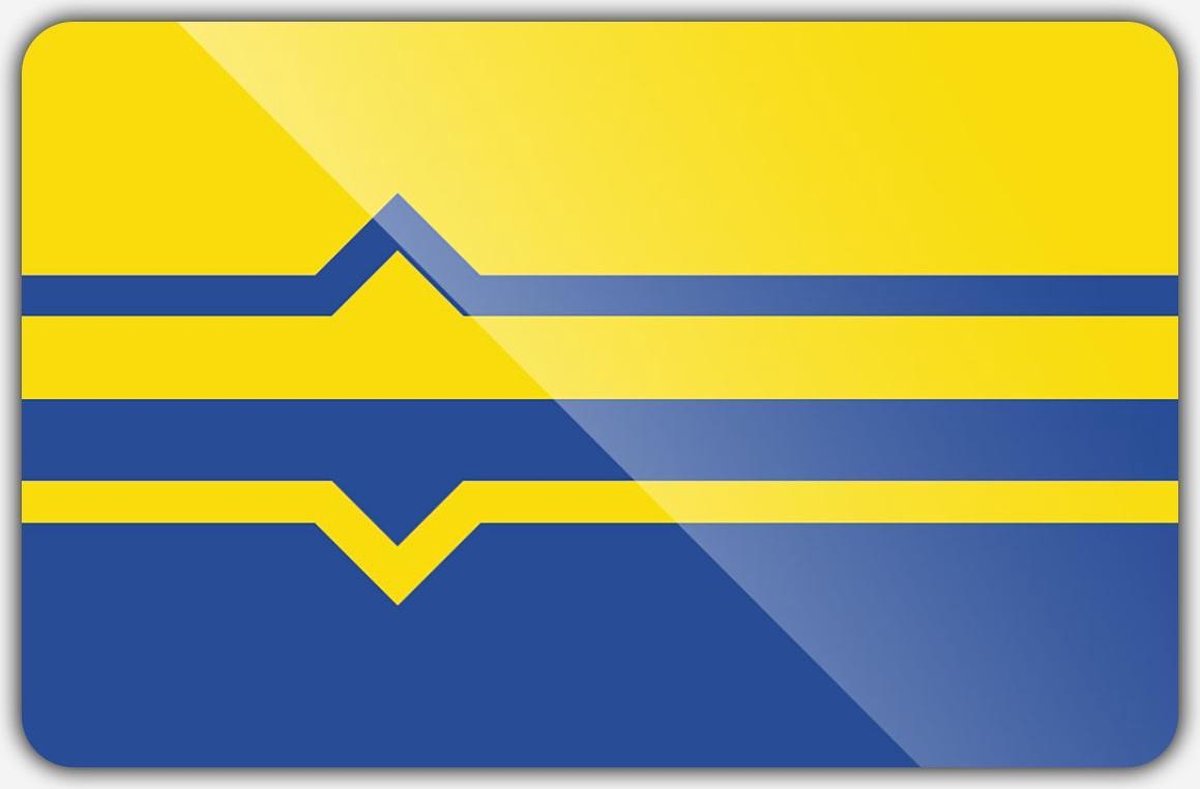 Vlag gemeente Lochem - 100 x 150 cm - Polyester