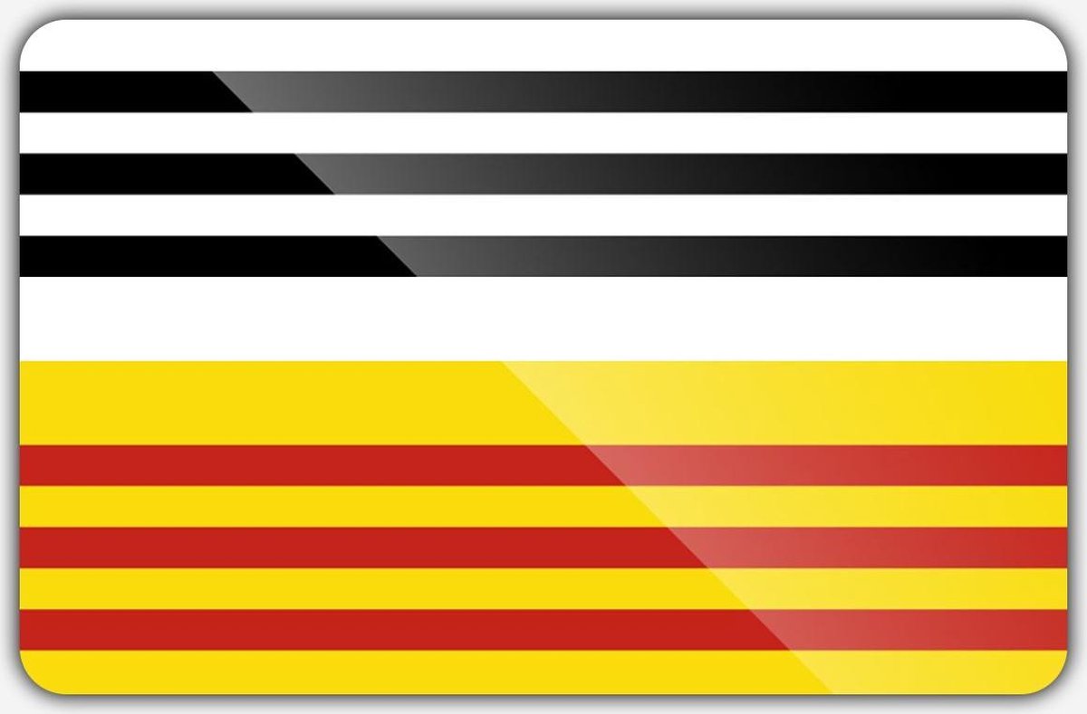 Vlag gemeente Loon op Zand - 100 x 150 cm - Polyester