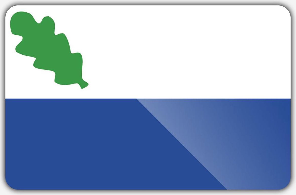 Vlag gemeente Oirschot - 150 x 225 cm - Polyester