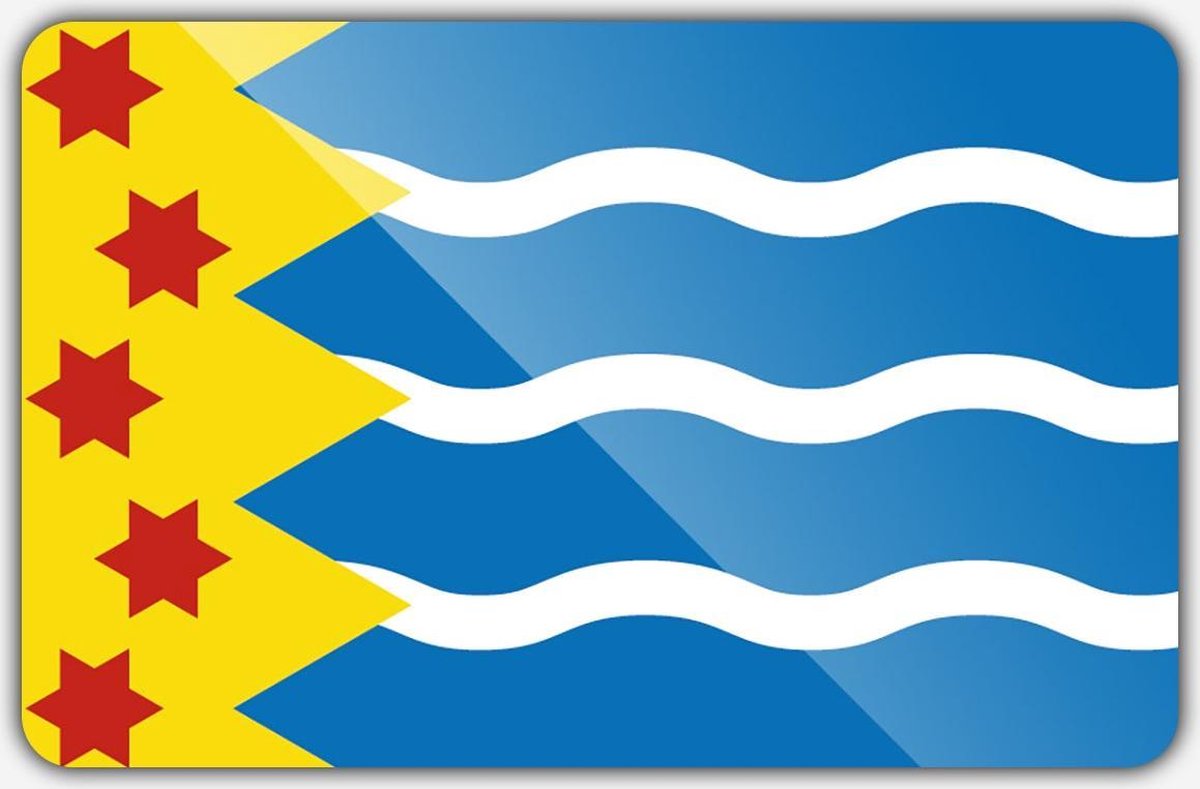 Vlag gemeente Oldambt - 100 x 150 cm - Polyester