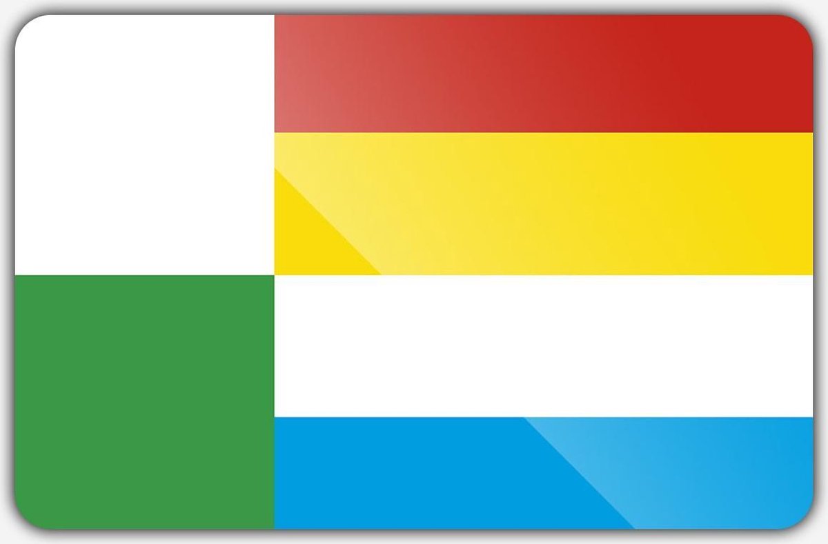 Vlag gemeente Oss - 70 x 100 cm - Polyester