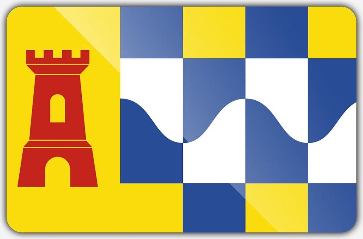 Vlag gemeente Overbetuwe - 70 x 100 cm - Polyester