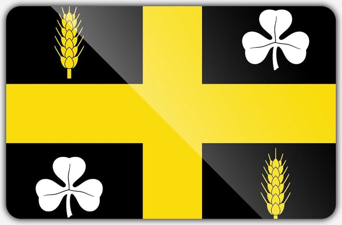 Vlag gemeente Raalte - 100 x 150 cm - Polyester