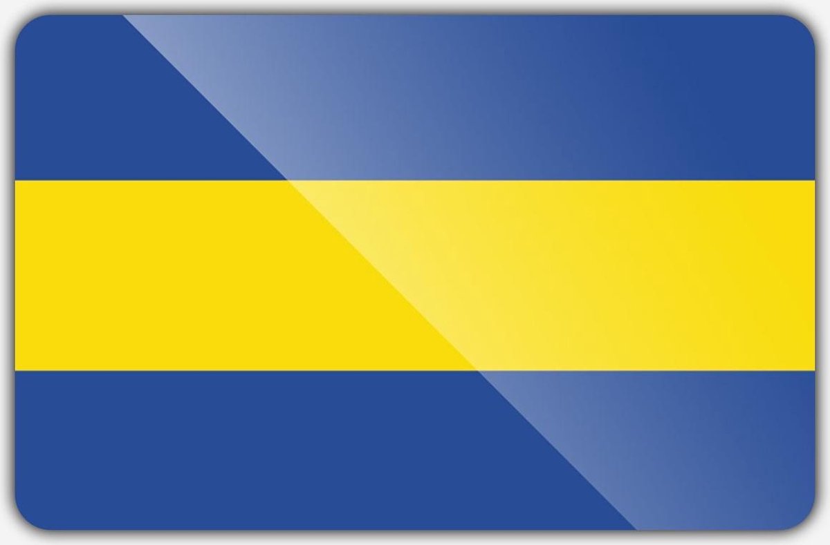 Vlag gemeente Rijswijk - 100 x 150 cm - Polyester