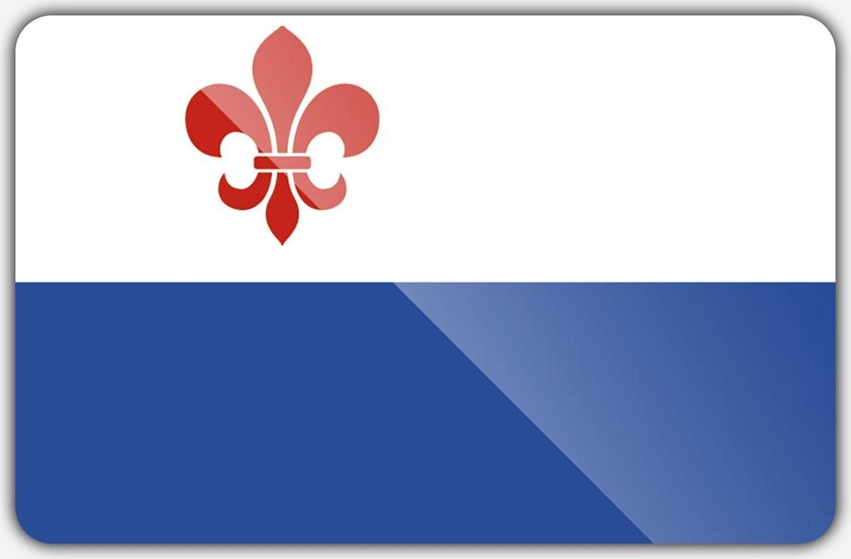 Vlag gemeente Roermond - 100 x 150 cm - Polyester