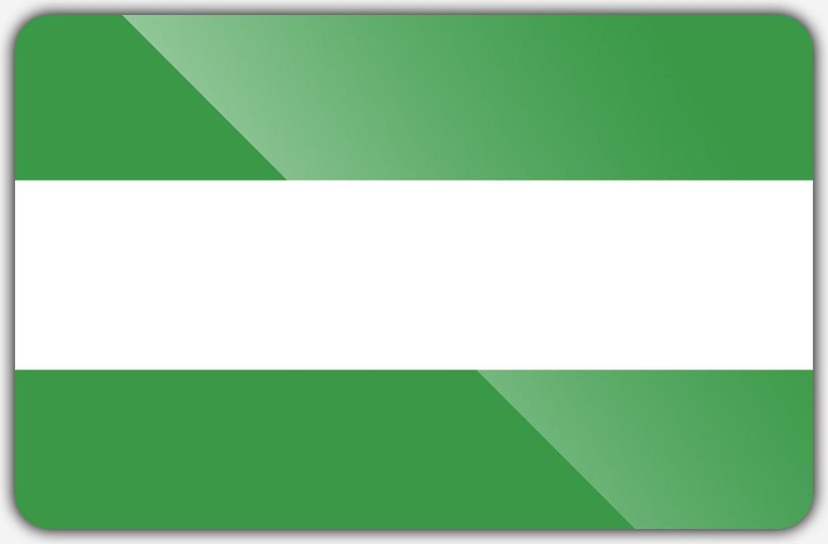 Vlag gemeente Rotterdam - 150 x 225 cm - Polyester