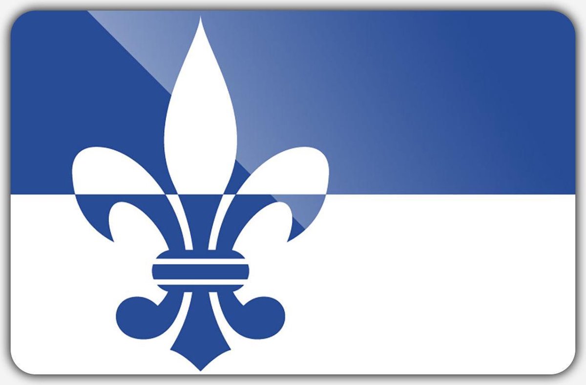 Vlag gemeente Scherpenzeel - 200 x 300 cm - Polyester