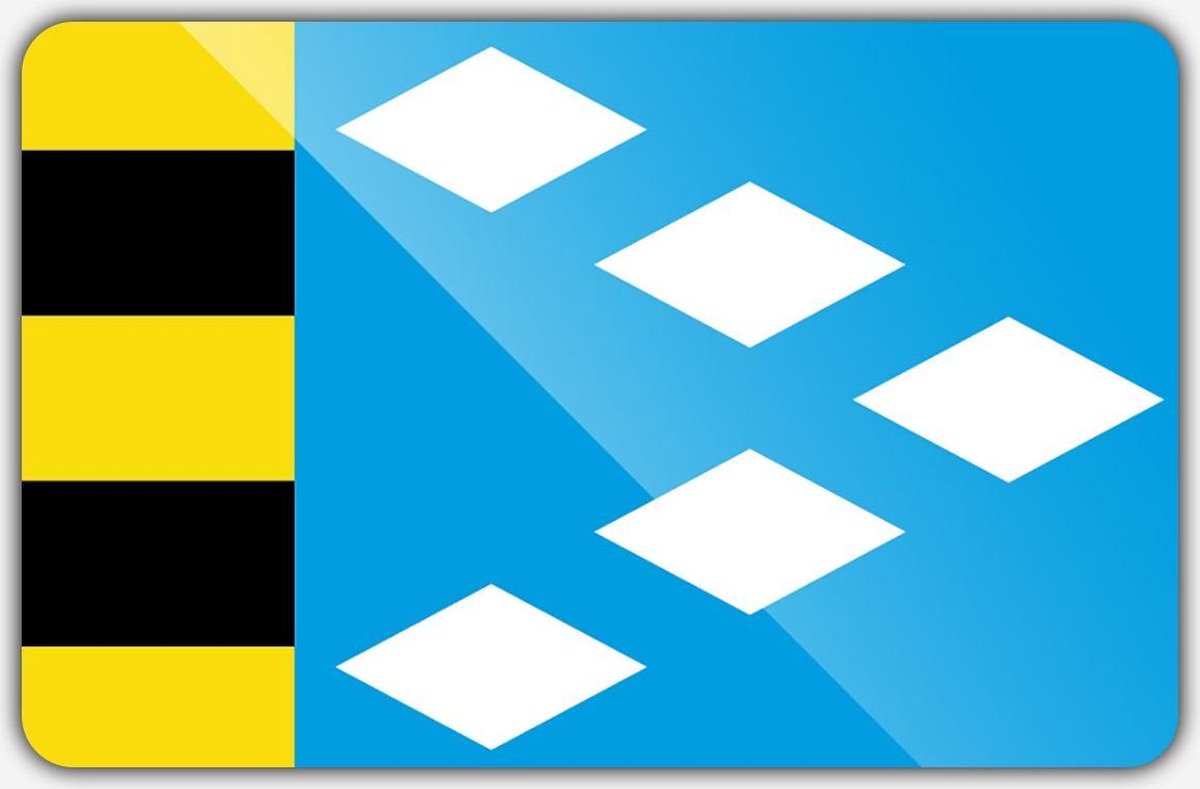 Vlag gemeente Súdwest-Fryslân - 70 x 100 cm - Polyester