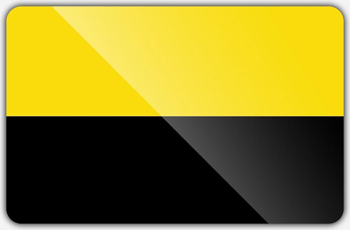 Vlag gemeente Tiel - 70 x 100 cm - Polyester