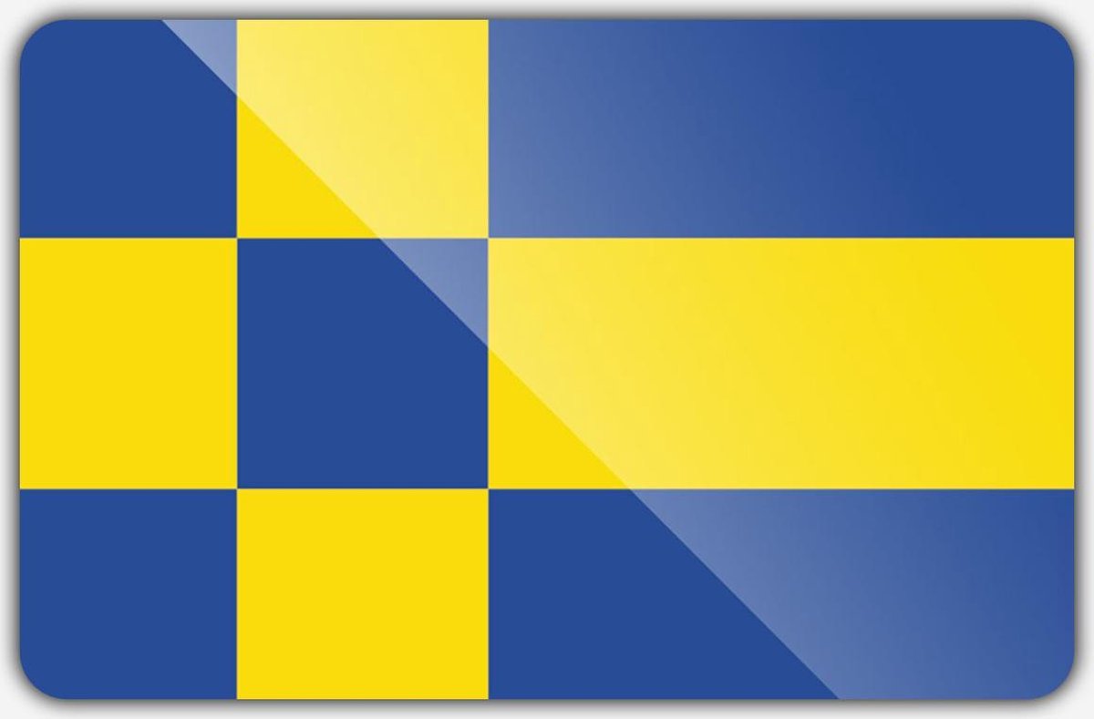 Vlag gemeente Tilburg - 100 x 150 cm - Polyester