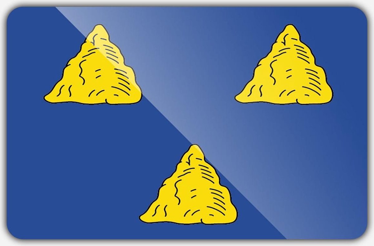 Vlag gemeente Tubbergen - 100 x 150 cm - Polyester