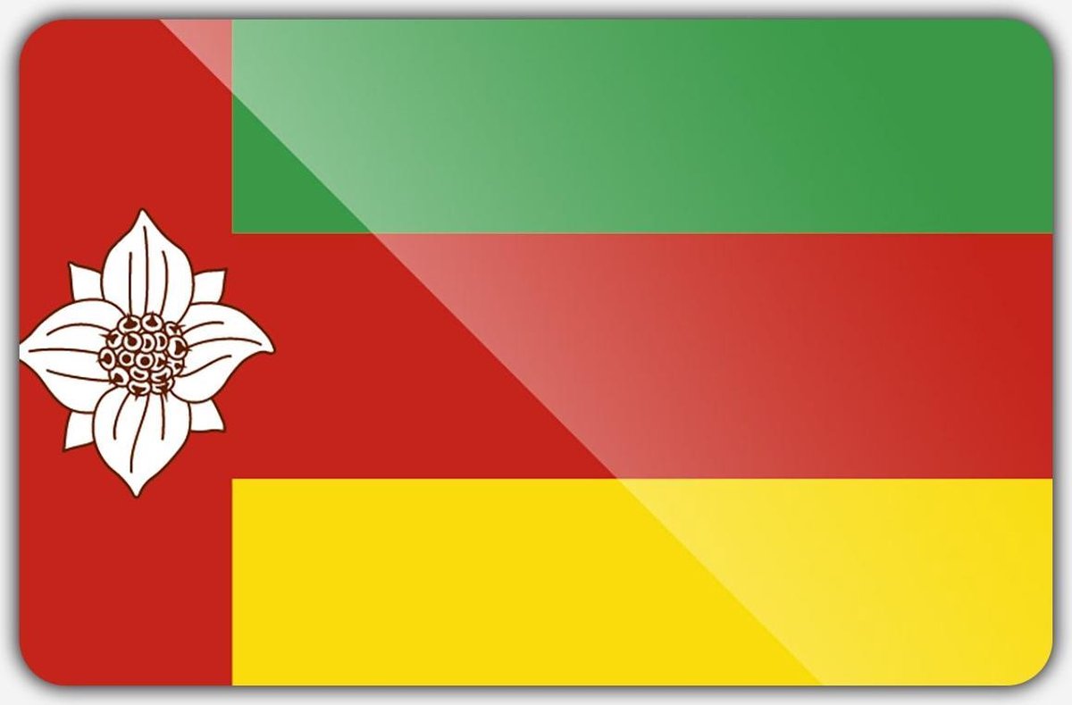 Vlag gemeente Tynaarlo - 200 x 300 cm - Polyester