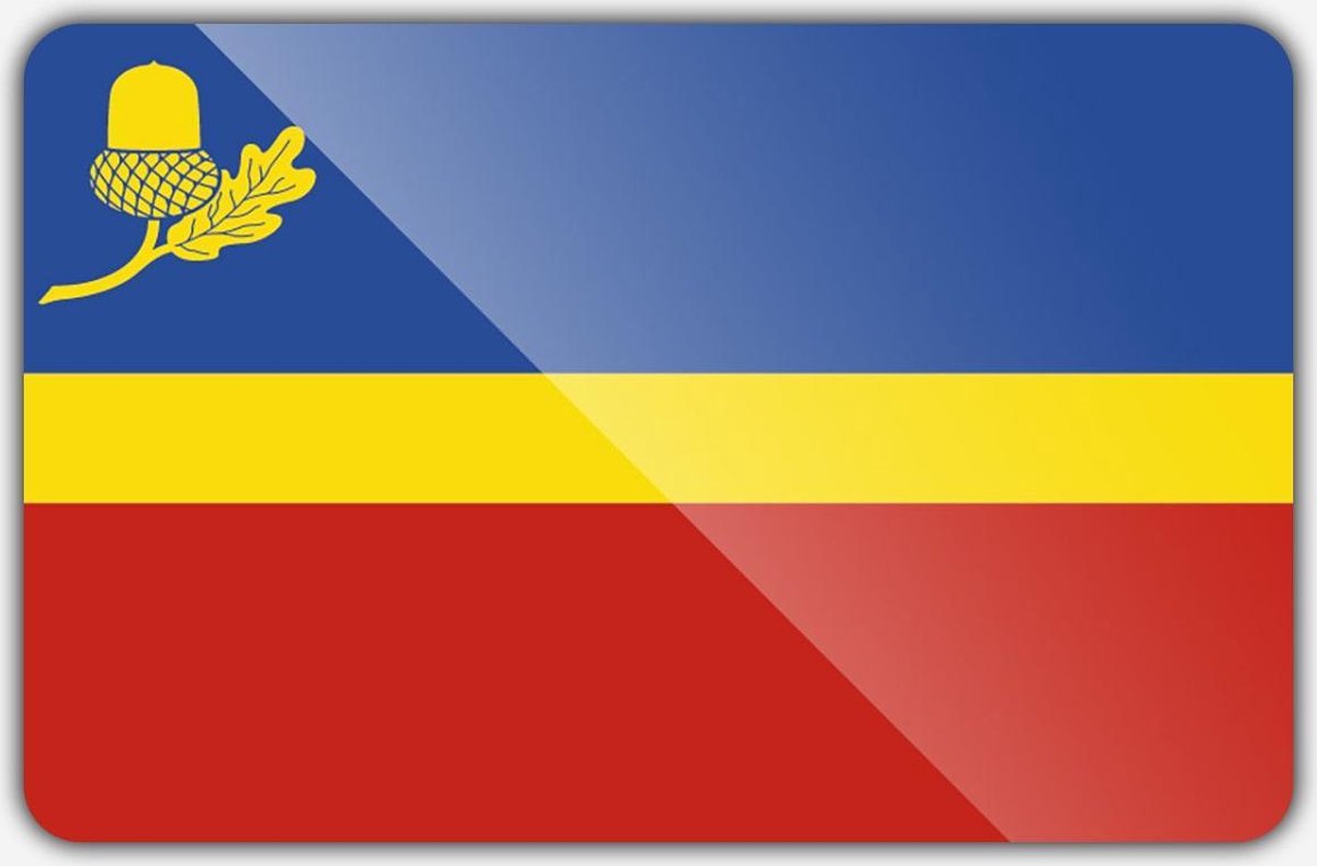 Vlag gemeente Waalre - 100 x 150 cm - Polyester