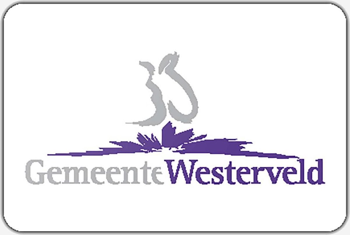 Vlag gemeente Westerveld - 200 x 300 cm - Polyester