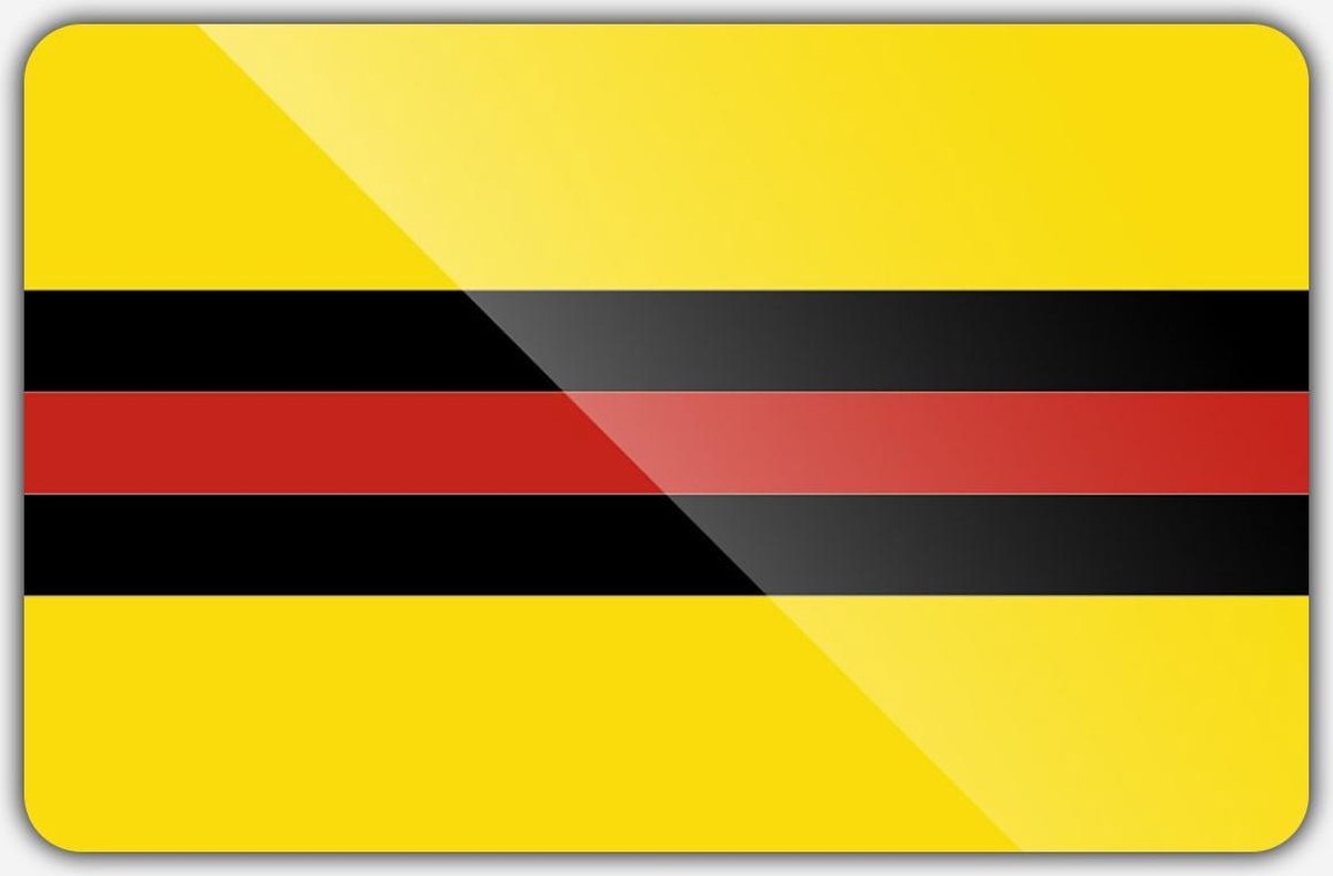 Vlag gemeente Woudenberg - 200 x 300 cm - Polyester