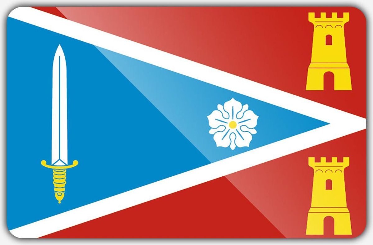 Vlag gemeente Zaltbommel - 150 x 225 cm - Polyester