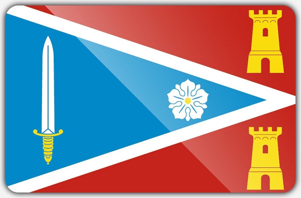 Vlag gemeente Zaltbommel - 70 x 100 cm - Polyester