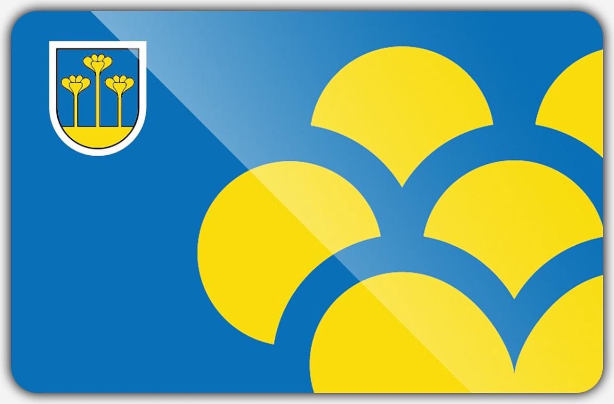 Vlag gemeente Zoetermeer - 150 x 225 cm - Polyester