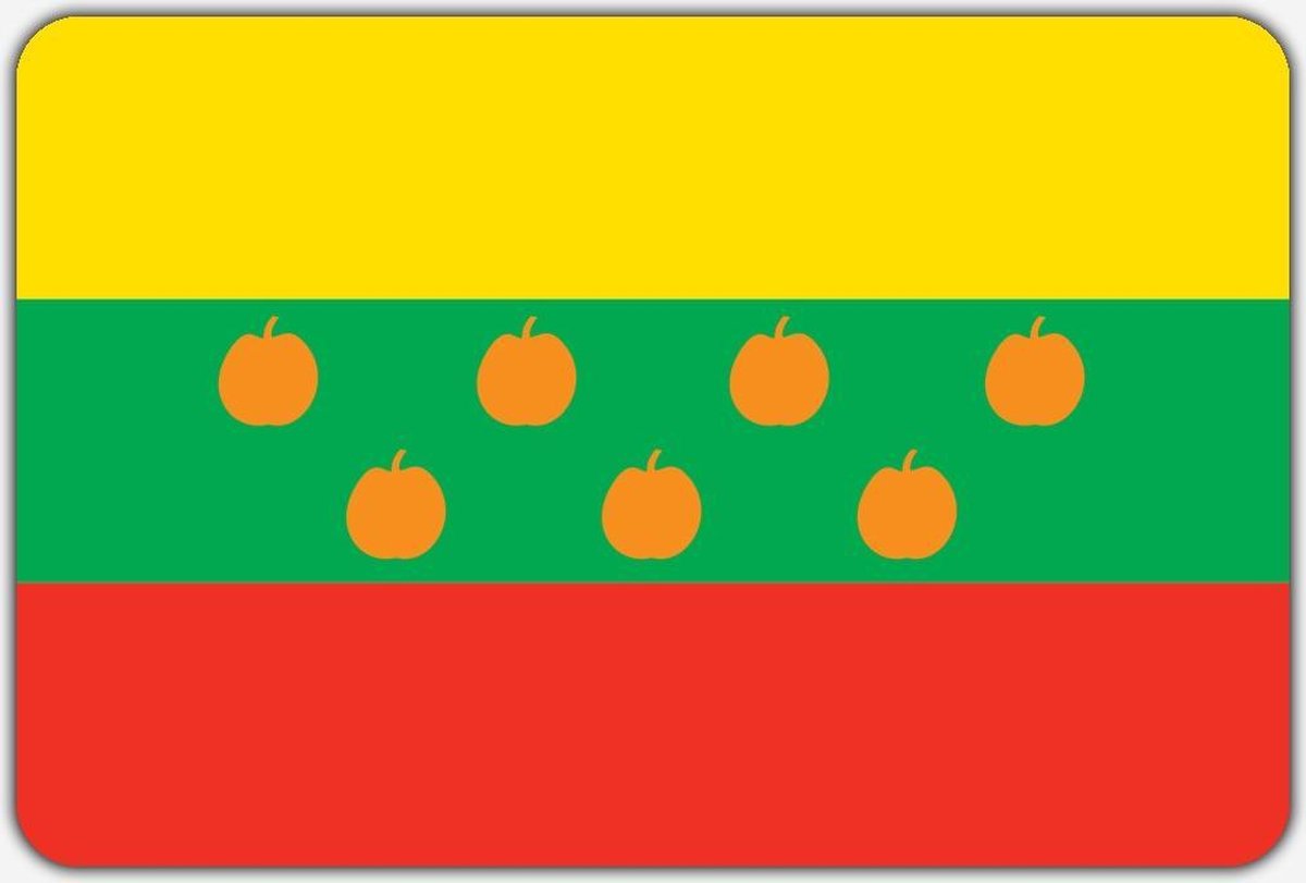 Vlag s-Gravendeel - 70 x 100 cm - Polyester