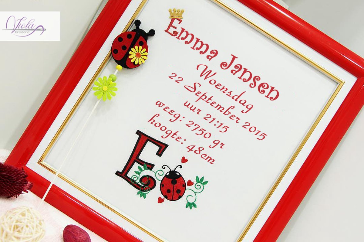 Persoonlijk borduurwerk in een frame met een rood lieveheersbeestje 35x45cm/Personalized embroidery frame with a ladybag in red 35x45cm