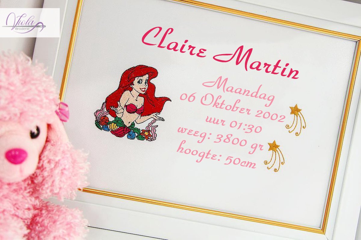 Persoonlijk cadeauborduurwerk in een frame met het personage van Ariel 30x40cm/Personalized gift embroidery frame with character of Ariel 30x40cm