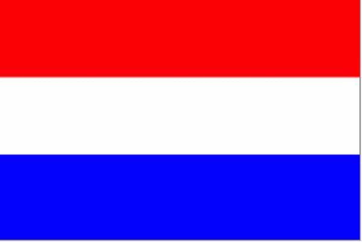 Complete set voor balkon spijlenhek Nederlandse vlag Oranje wimpel stok en houder