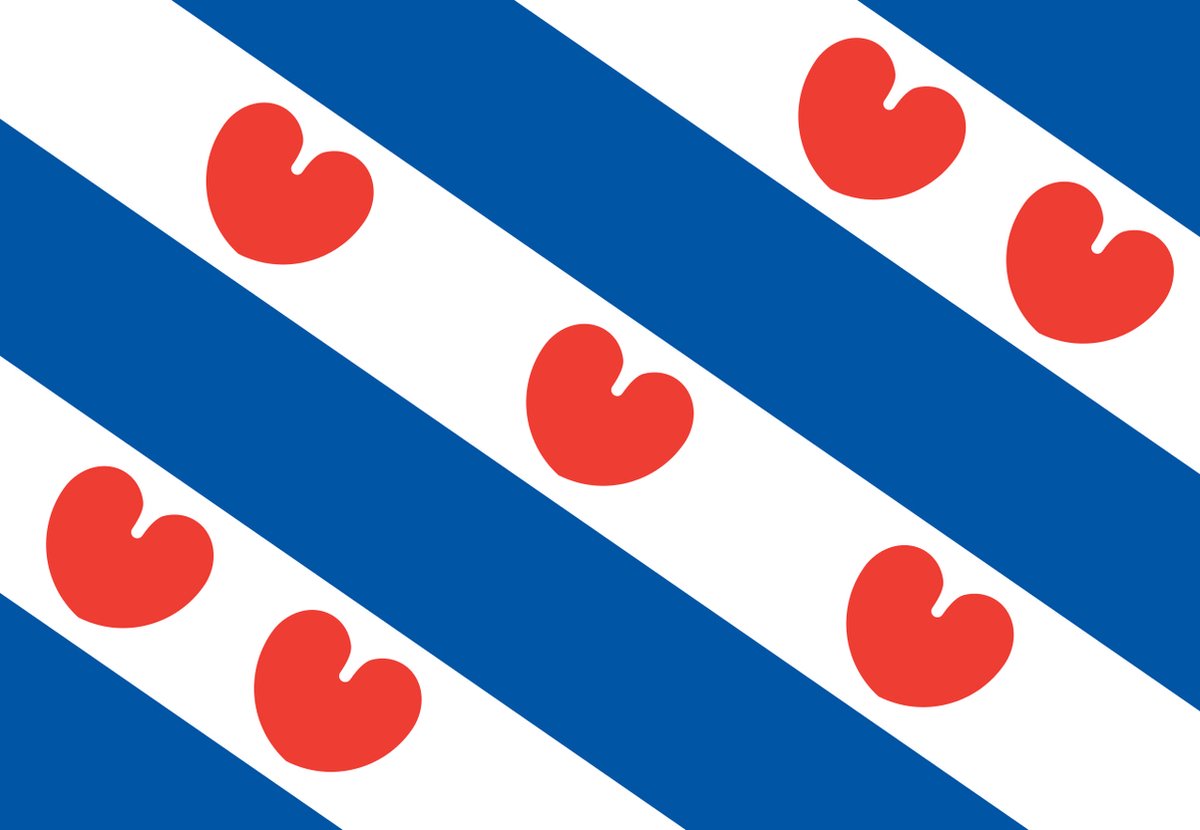 Drentse vlag 120x180cm