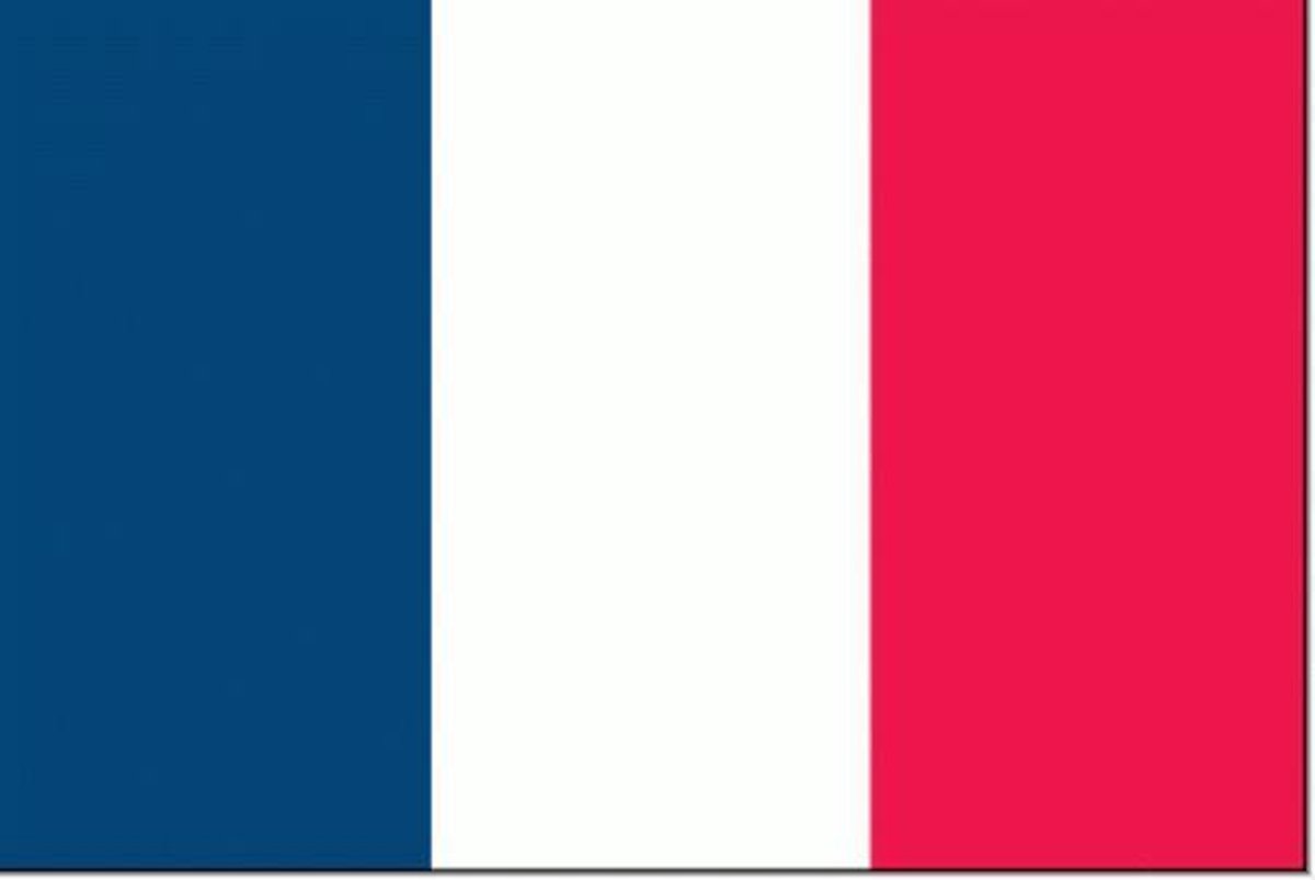 Franse vlag 30x45cm