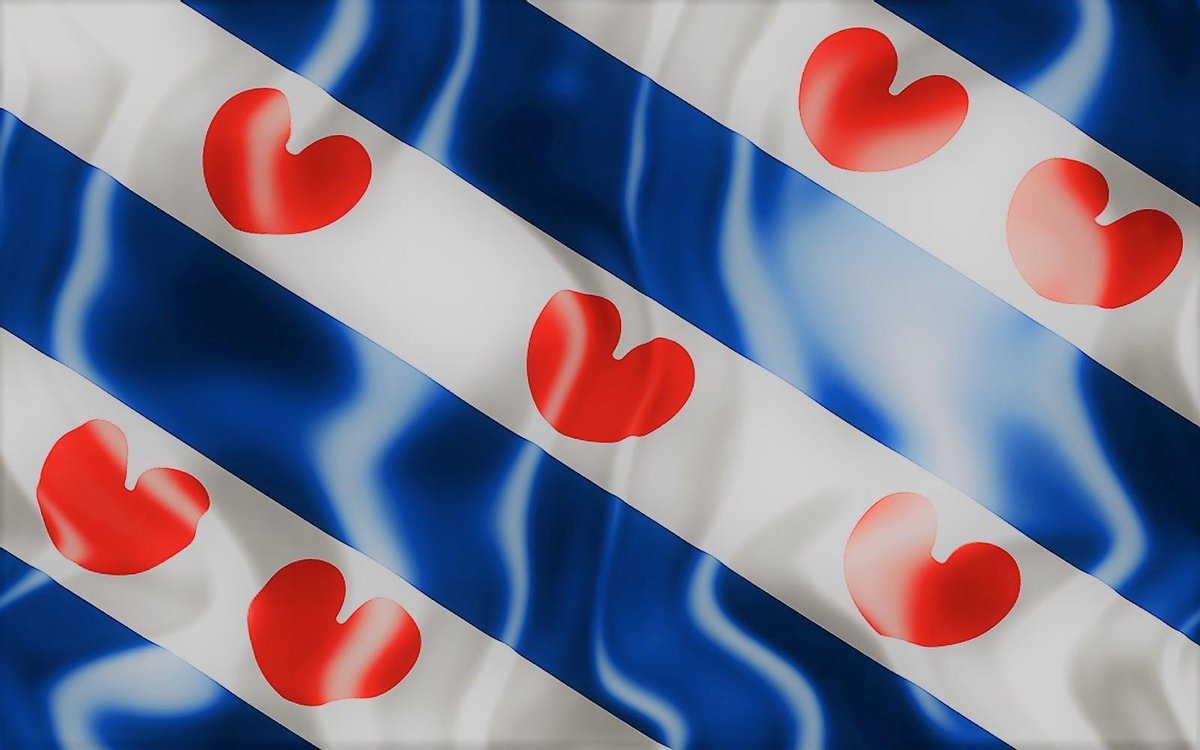 Friese vlag 100x150cm