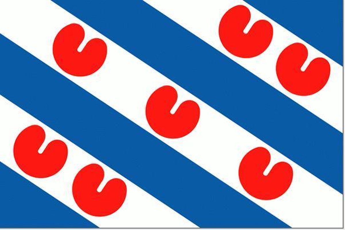 Friese vlag 150x225cm