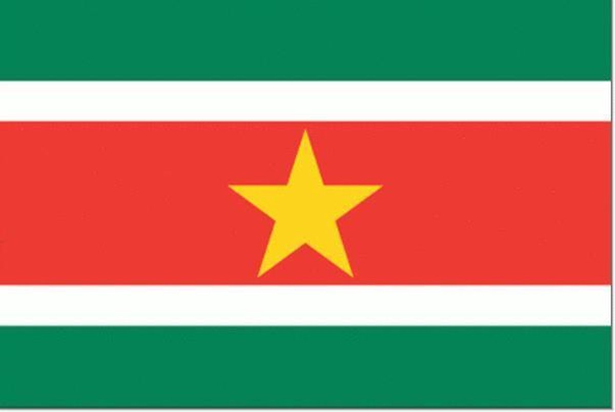 Surinaamse vlag 70x100cm