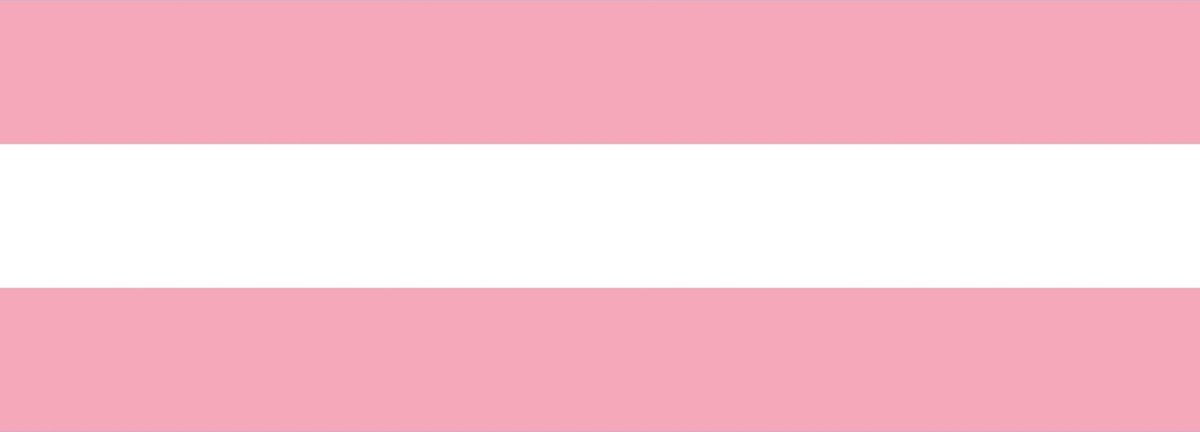 Transgender vlag 100x150cm