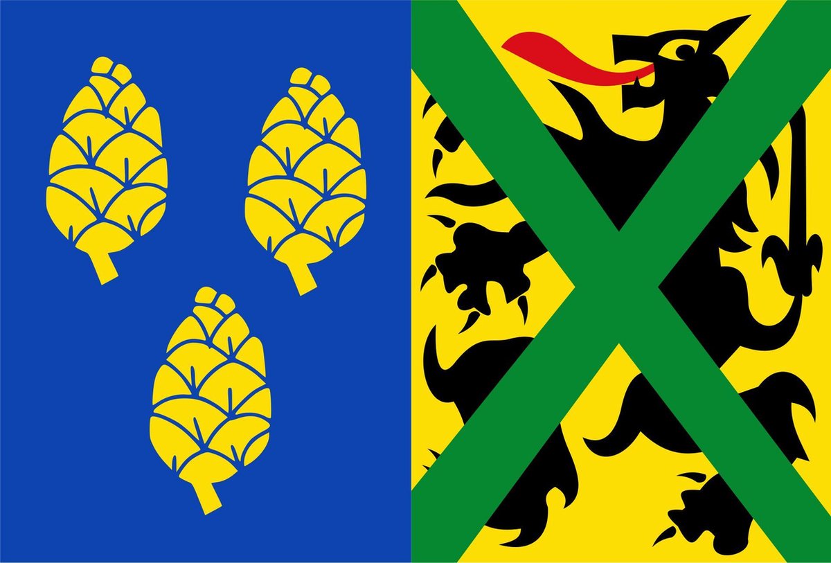 Vlag Alveringem 100x150cm