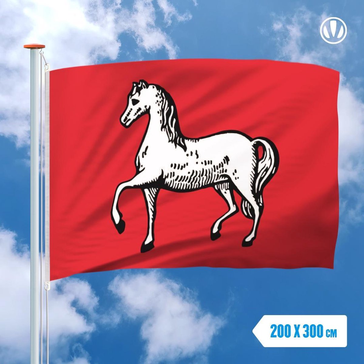 Vlag Assendelft 200x300cm