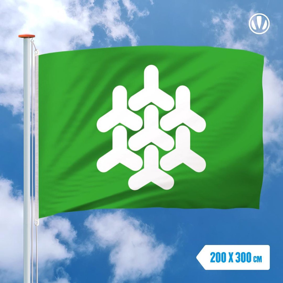 Vlag Dronten 200x300cm