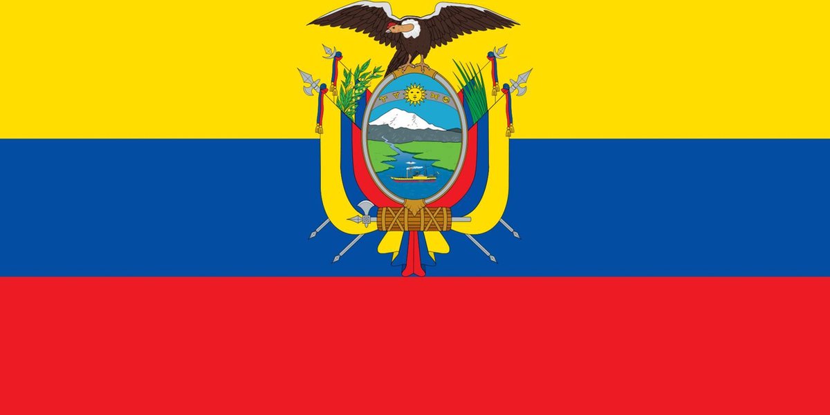 Vlag Ecuador 30x45cm