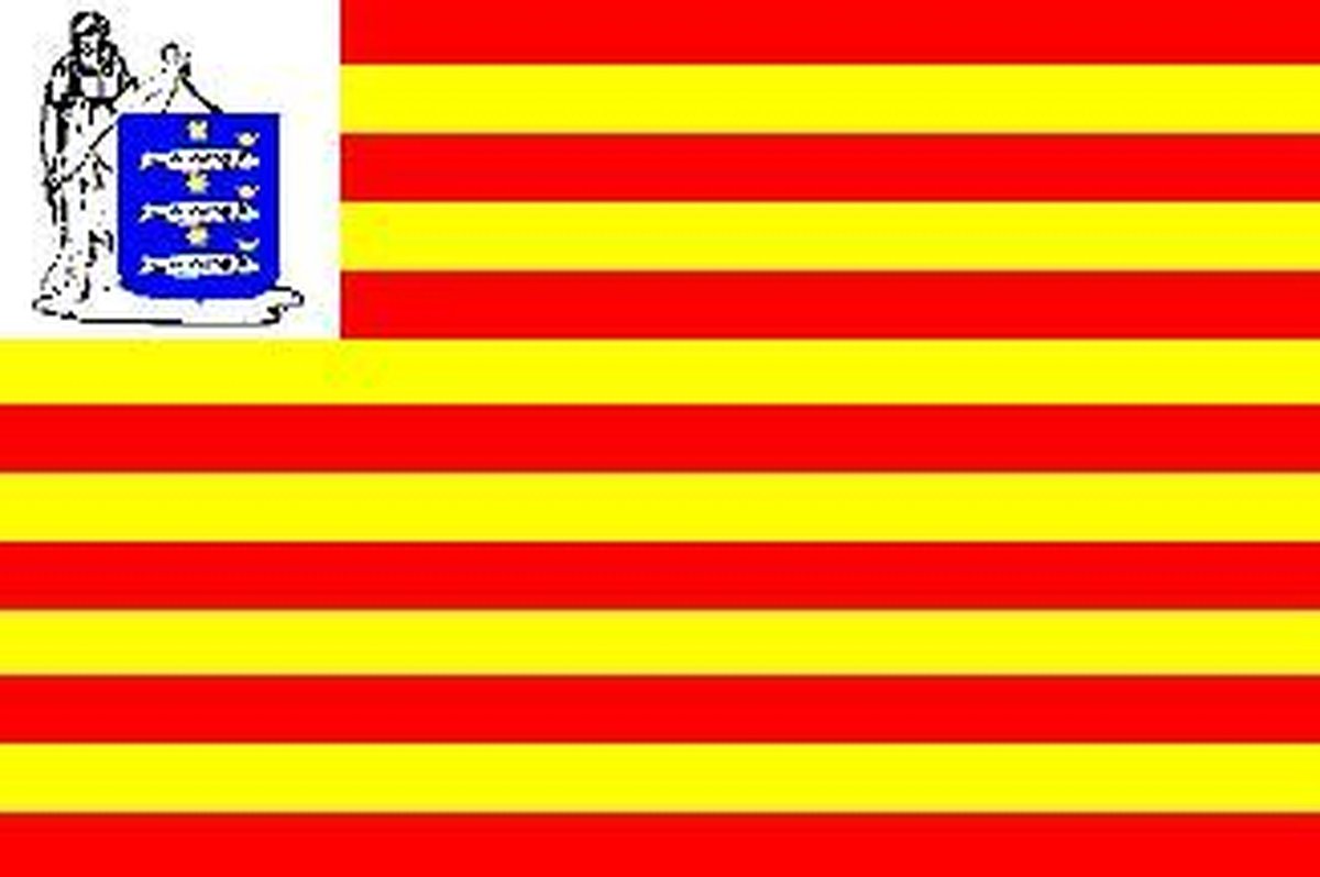 Vlag Enkhuizen 70x100cm