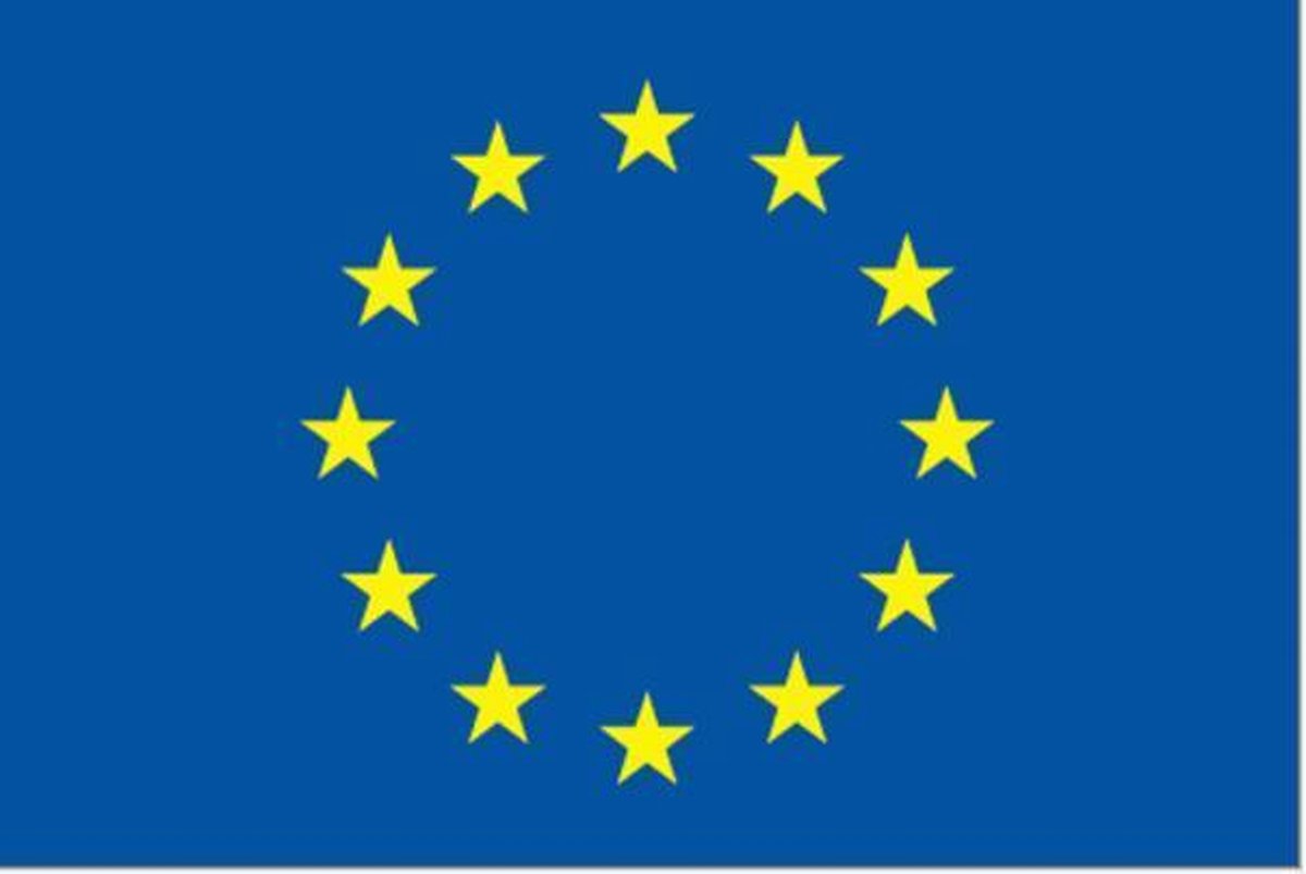 Vlag Europese Unie 50x75cm