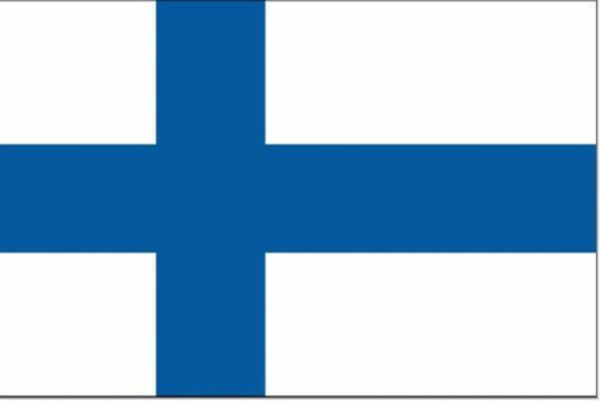 Vlag Finland 40x60cm