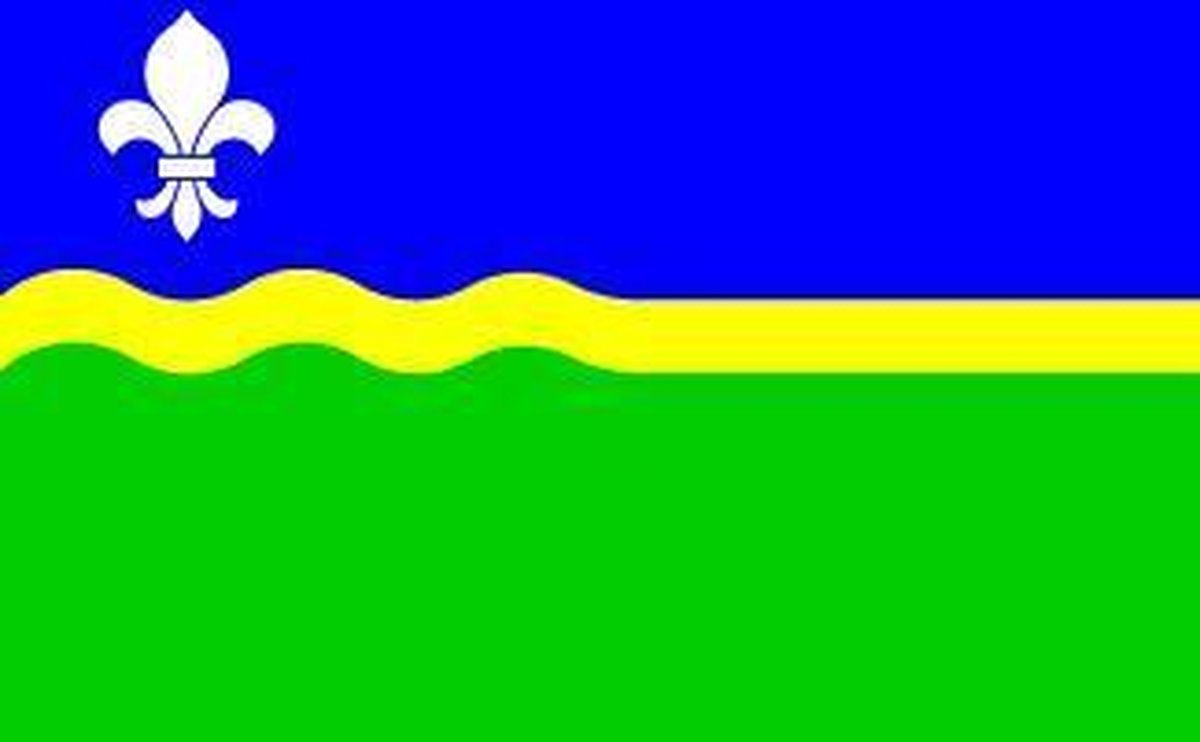 Vlag Flevoland 40x60cm